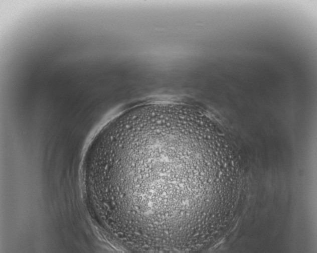 X0000060580343200511101702