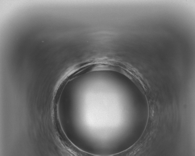 X0000060580344200511101702