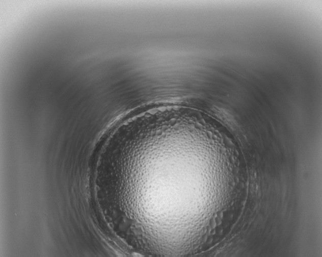 X0000060580346200511101702