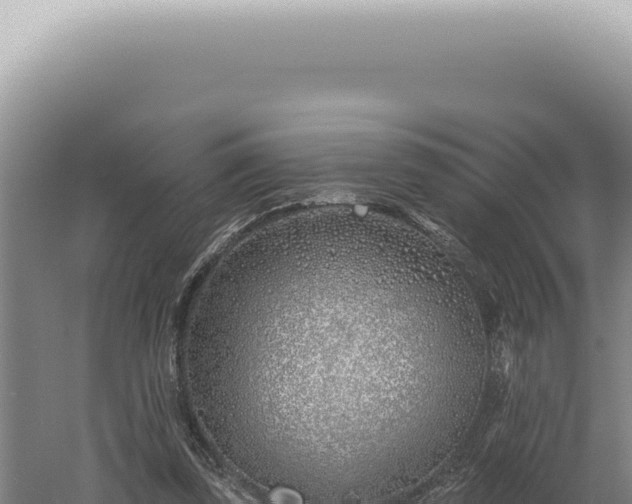 X0000060580347200511101702