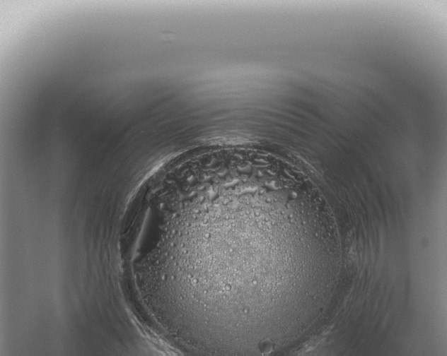 X0000060580351200511101702