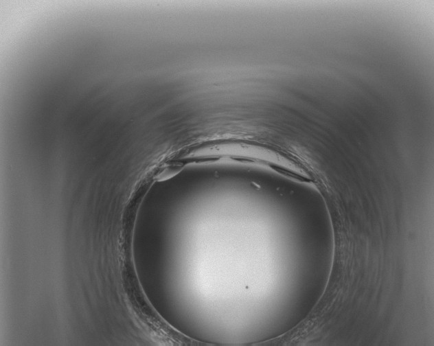 X0000060580354200511101702