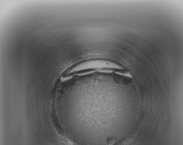 X0000060580355200511101702