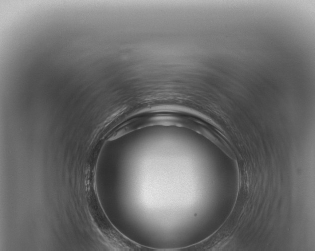 X0000060580356200511101702