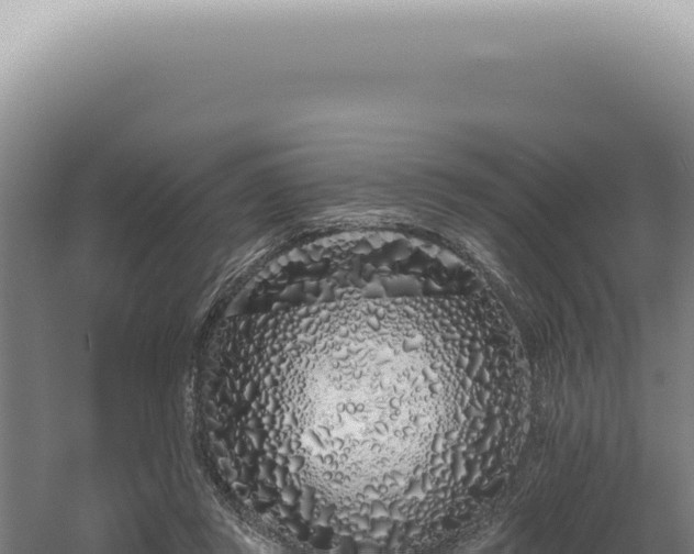 X0000060580357200511101702