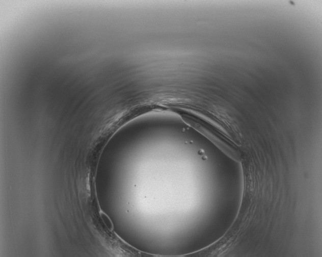 X0000060580358200511101702