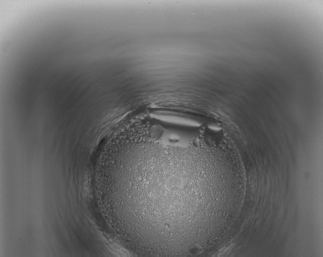 X0000060580359200511101702