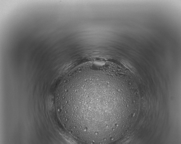 X0000060580361200511101702