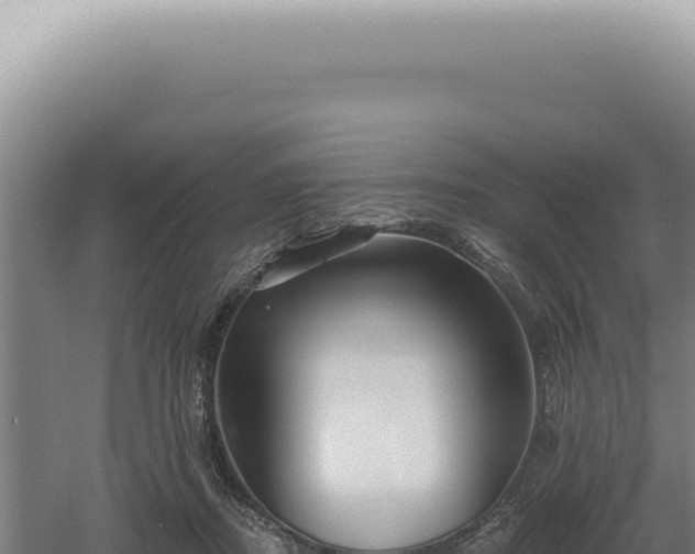 X0000060580362200511101702