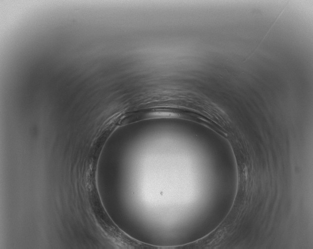 X0000060580364200511101702