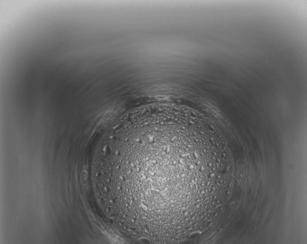 X0000060580365200511101702