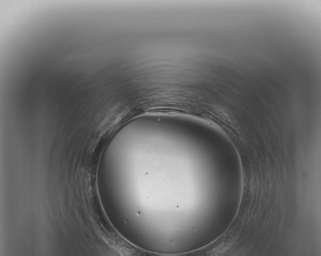 X0000060580366200511101702