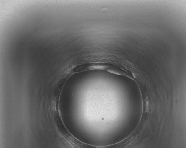 X0000060580368200511101702