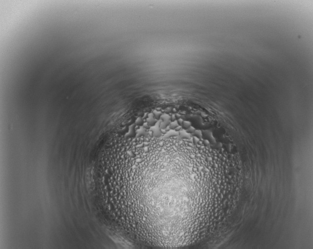 X0000060580369200511101702