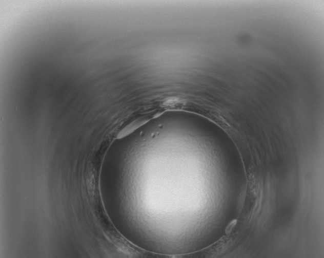 X0000060580375200511101702