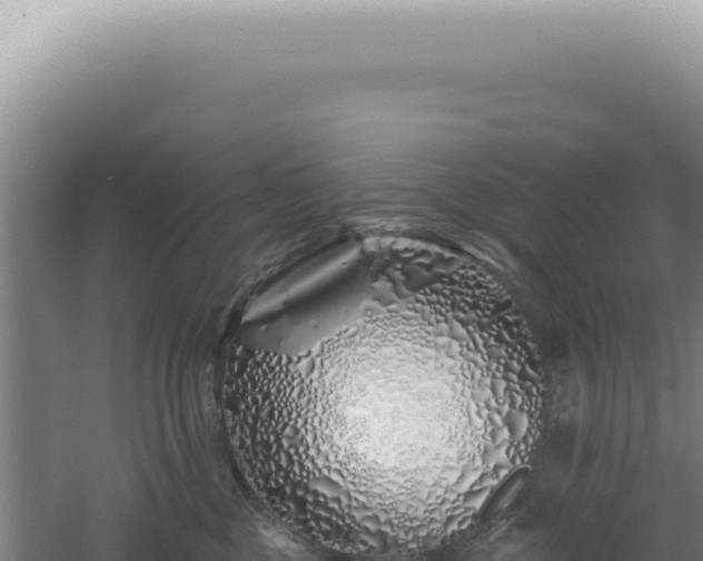 X0000060580377200511101702