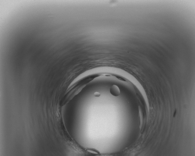 X0000060580380200511101702