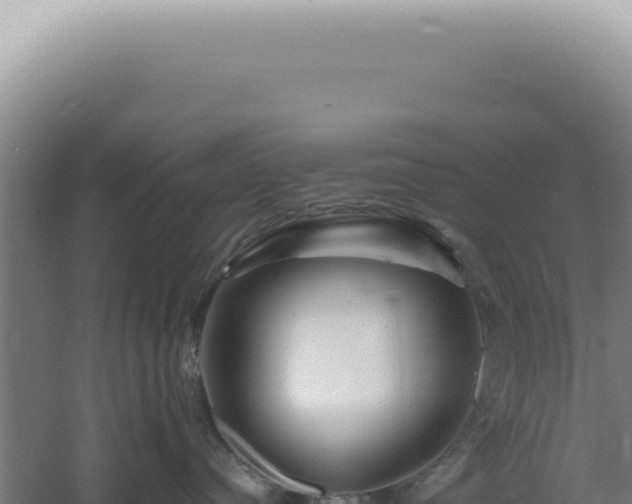 X0000060580384200511101702