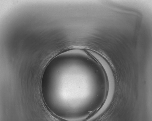 X0000060580385200511101702