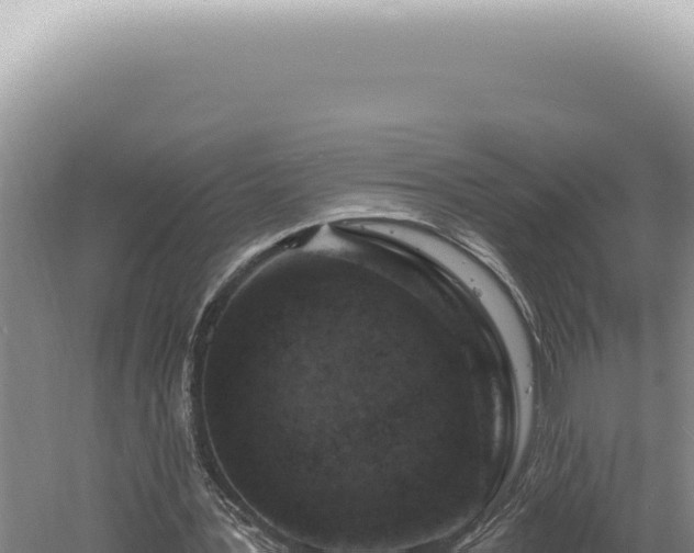 X0000060580387200511101701