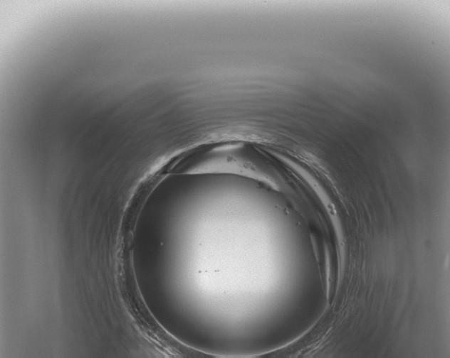 X0000060580388200511101701