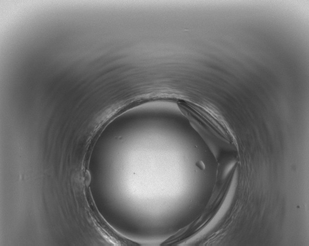 X0000060580389200511101701