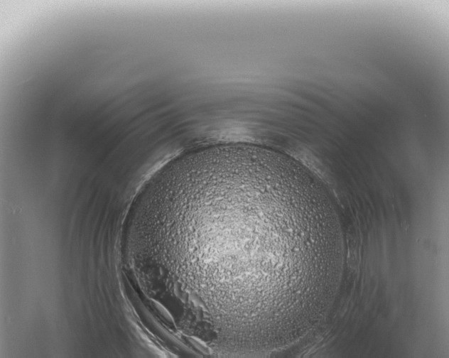 X0000060580390200511101701