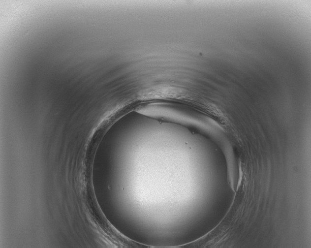 X0000060580392200511101701