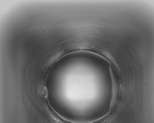 X0000060580393200511101701