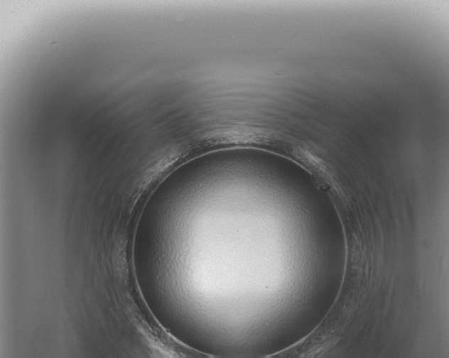 X0000060580394200511101701