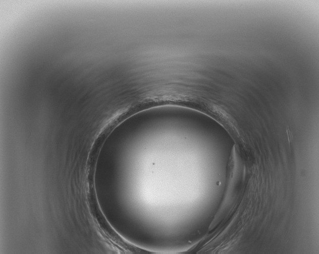 X0000060580395200511101701