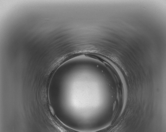 X0000060580397200511101701