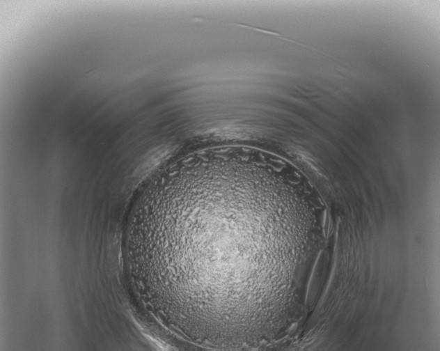 X0000060580398200511101701