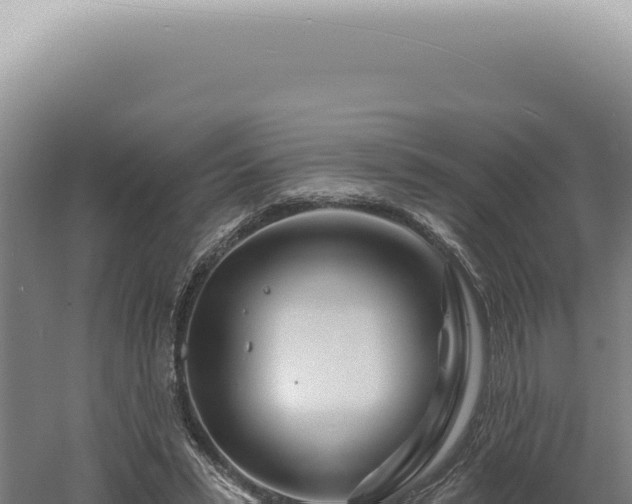 X0000060580399200511101701