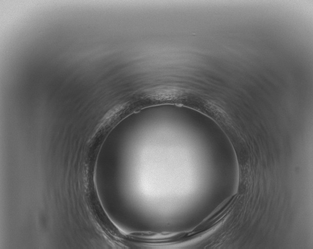 X0000060580400200511101701