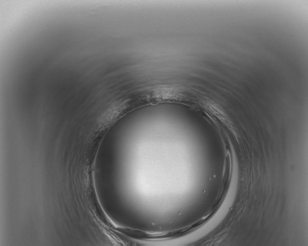 X0000060580401200511101701