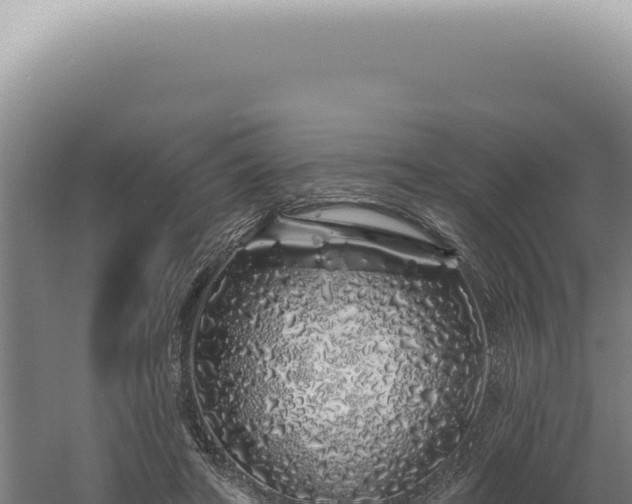 X0000060580402200511101701