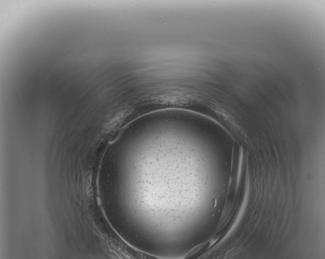 X0000060580403200511101701