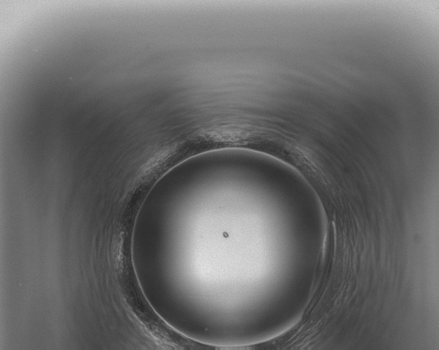 X0000060580404200511101701