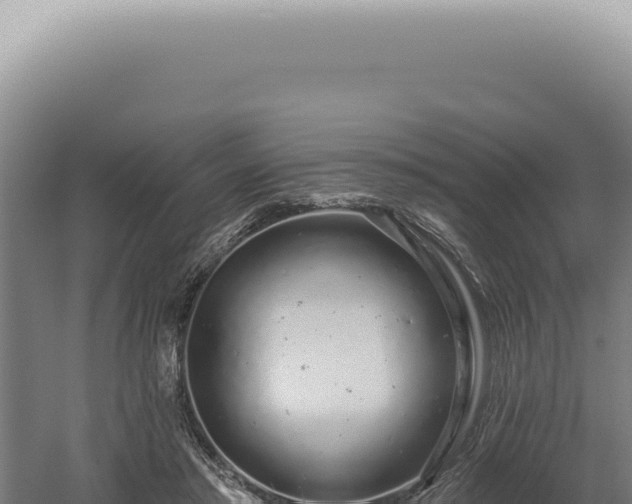 X0000060580405200511101701