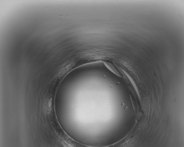 X0000060580406200511101701