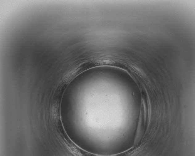 X0000060580409200511101701