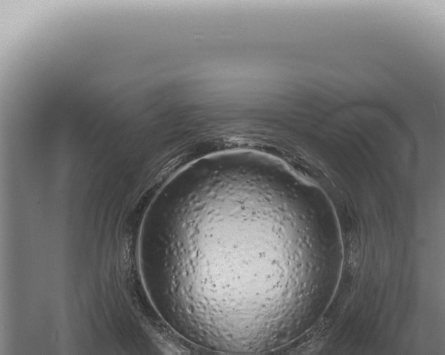 X0000060580410200511101701