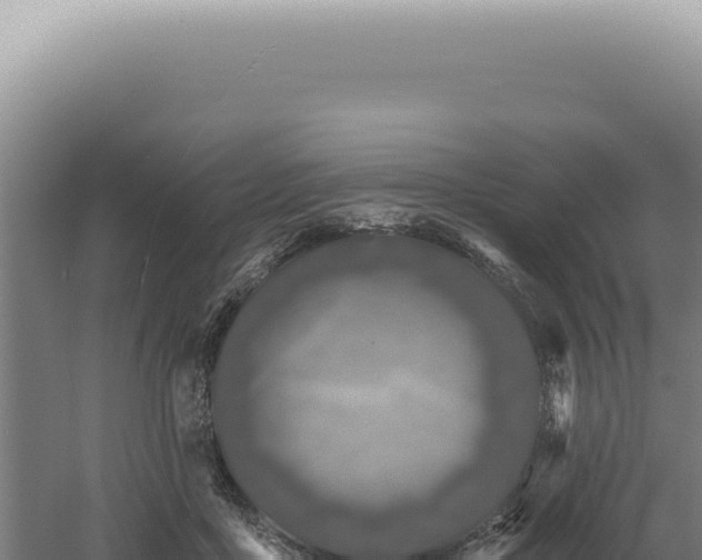 X0000060580411200511101701