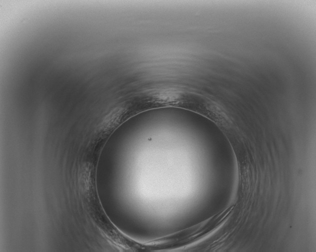 X0000060580412200511101701