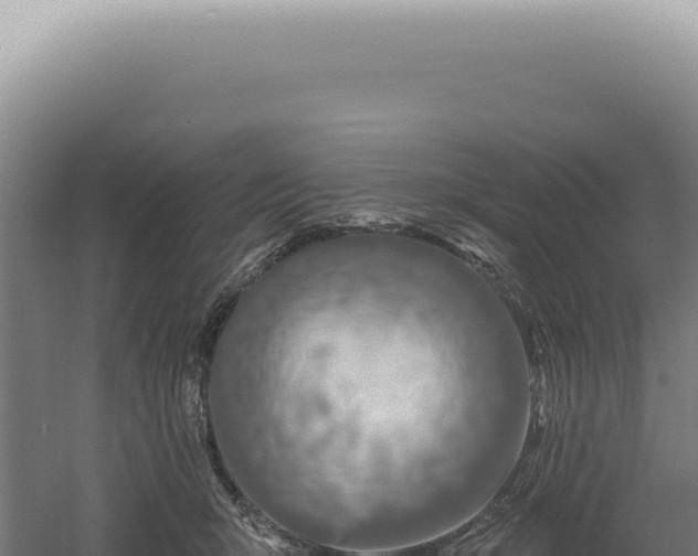 X0000060580415200511101701