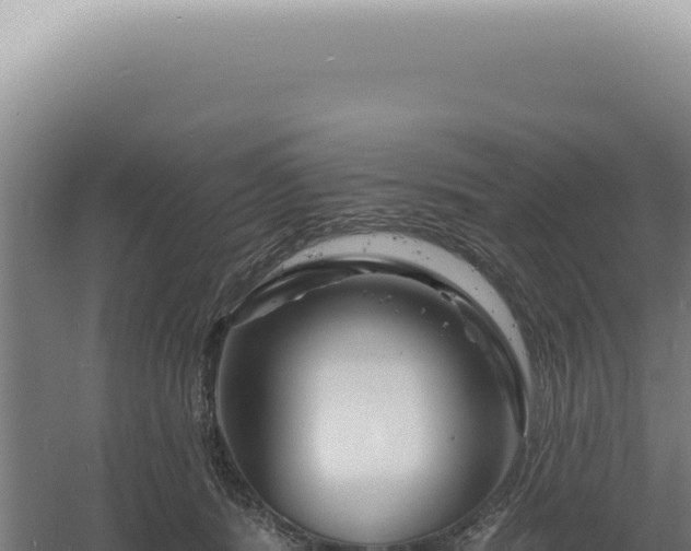 X0000060580416200511101701