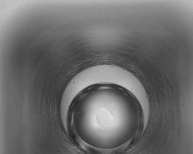 X0000060580417200511101701