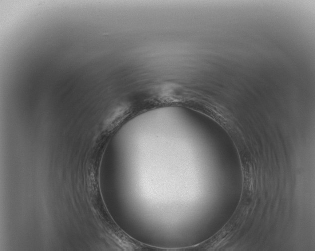 X0000060580418200511101701