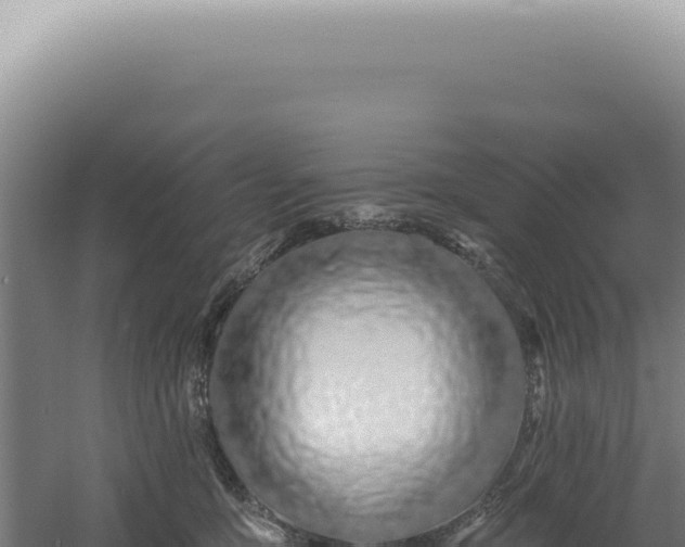 X0000060580419200511101701